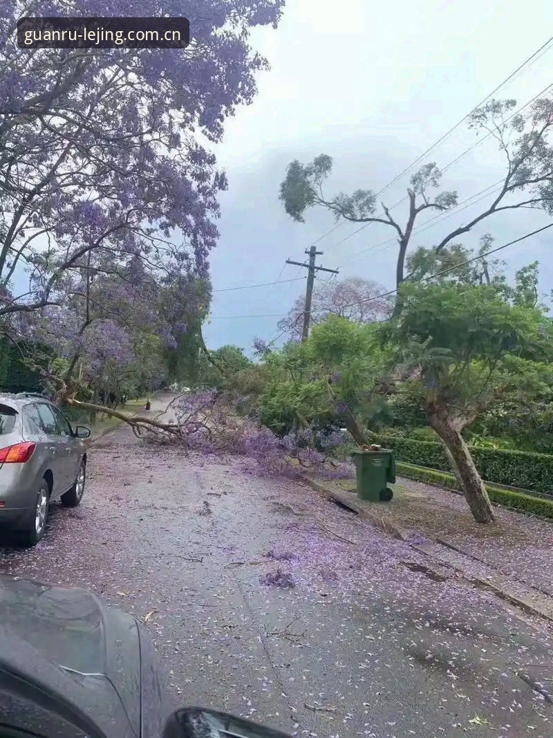亲历雷暴夜：资深用户分享在乐竞体育平台追踪法国队提前出线全过程的观赛笔记